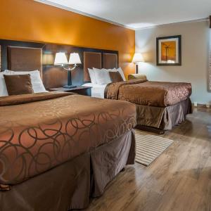 Queen Room with Two Queen Beds - Pet Friendly/Non-Smoking