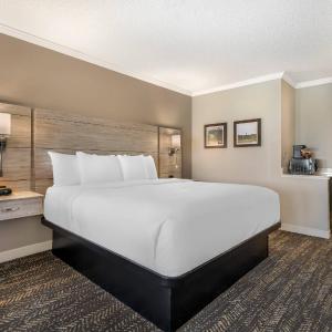 Premium King Suite - Accessible/Non-Smoking