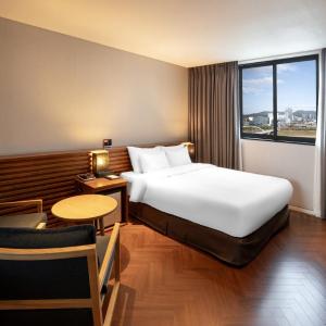 Deluxe Double Room - River View