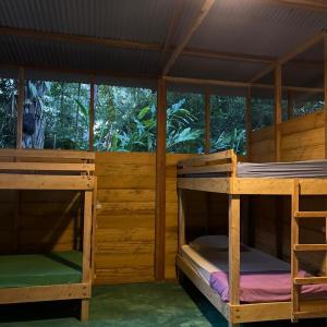 Bed in 6-Bed Female Dormitory Room