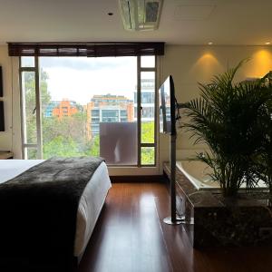 Superior Queen Room