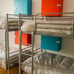 Bed in 6-Bed Mixed Dormitory Room