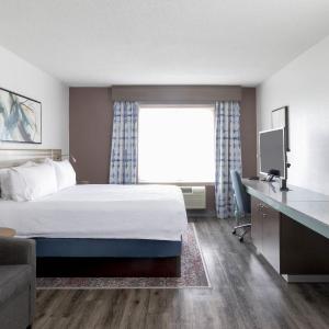 Junior King Suite - Non-Smoking