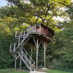 Standard Tree House (4 People)