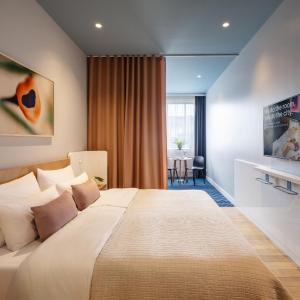Large Room with Sofa Bed