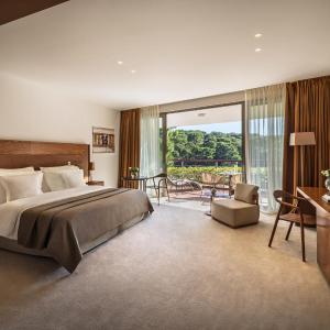 Premium Double Room with Balcony and Sea View
