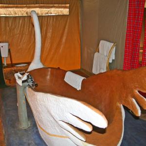 Single Room with Bathroom