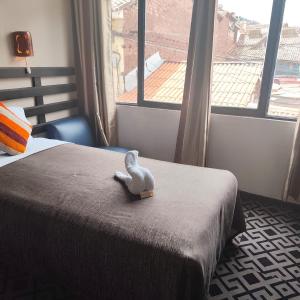 Large Single Room