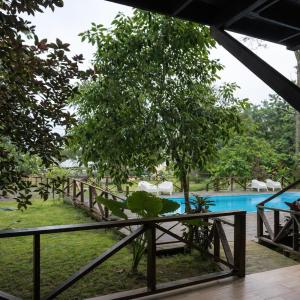 Deluxe Double or Twin Room with Pool View