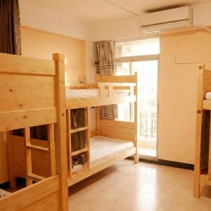 Bunk Bed in Mixed Dormitory Room