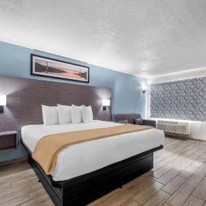 King Room - Non-Smoking