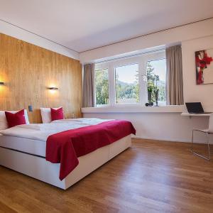 Double or Twin Room Comfort