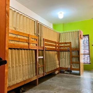 Bunk Bed in 16-Bed Mixed Dormitory Room