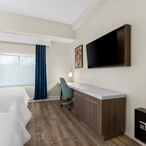 Deluxe One-Bedroom Queen Suite
