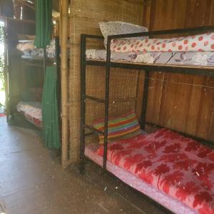 Single Bed in Mixed Dormitory Room