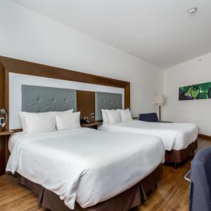 Executive Room with Two Double Beds and Sofa Bed