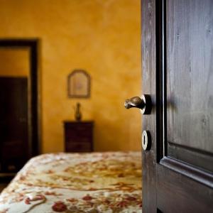 Pasha Suite