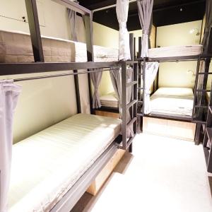Bunk Bed in Mixed Dormitory Room
