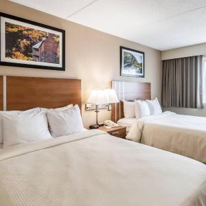 Standard Queen Room with Two Queen Beds