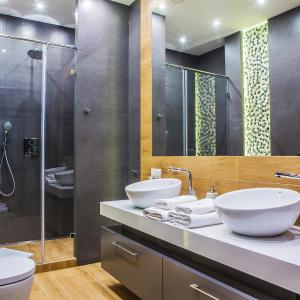Superior Apartment with Sauna