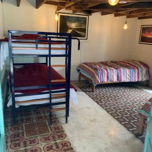 Bunk Bed in Mixed Dormitory Room