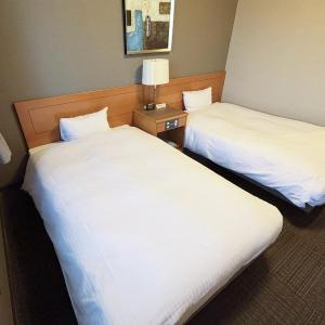 Twin Room - Non-Smoking - No Daily Cleaning