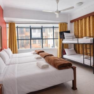 Mixed Dormitory Room