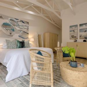 Pansy Shell Suite