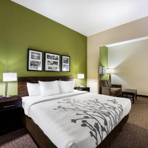 King Suite with Sofa Bed
