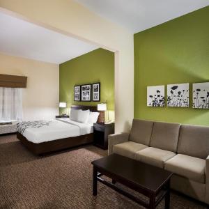 King Room with Sofa Bed - Mobility Accessible/Non-Smoking