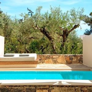 Deluxe Room with Private Pool
