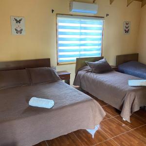 Triple Suite