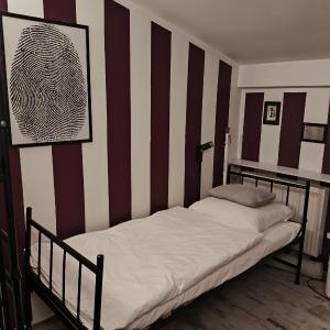 Bunk Bed in Female Dormitory Room  