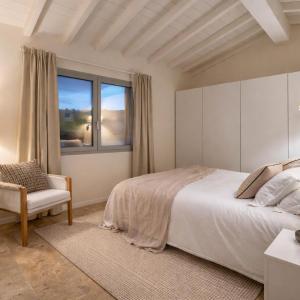 Suite Apartment
