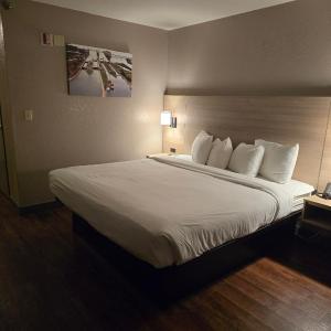 King Room with Roll-in Shower - Mobility Access/Non-Smoking