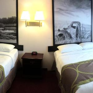 Studio Suite with 2 Double Beds  Non-Smoking