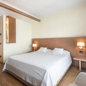Deluxe Double or Twin Room with Terrace and Lake View
