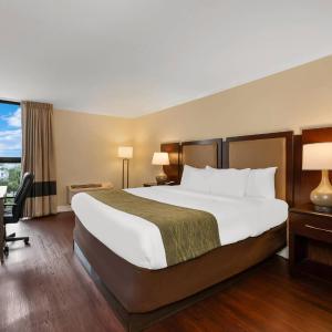 Standard King Room with City View - Non-Smoking