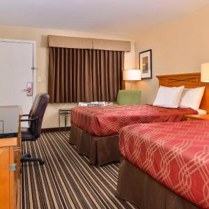 Double Room with Two Double Beds - Non-Smoking