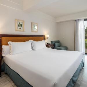 King Room with Garden View
