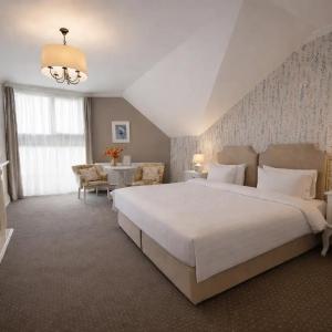 Deluxe Double or Twin Room with Mountain View
