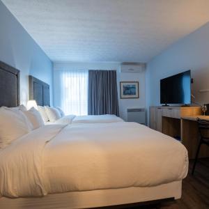 Double Room with Two Double Beds and Patio - First Floor/Non-Smoking