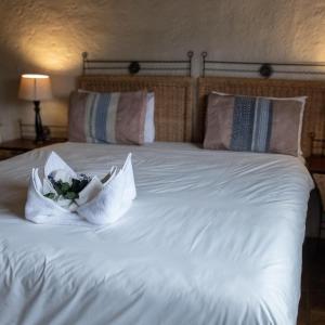 Standard Double Room - Bush Lodge