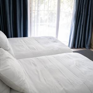 Agapanthus Suite