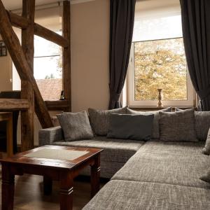Comfort Suite