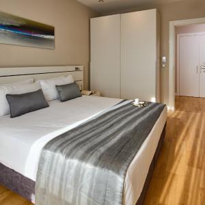 Deluxe One-Bedroom Apartment