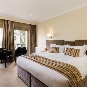 Deluxe Family Room with One King Bed and One Bunk Bed - Non-Smoking