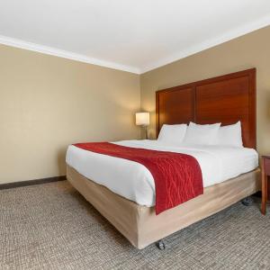 Standard King Room - Non-Smoking 