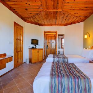 Standard Mountain Room