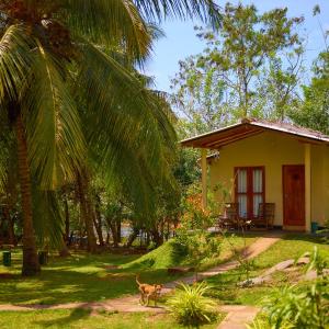 Double Room with Lake View